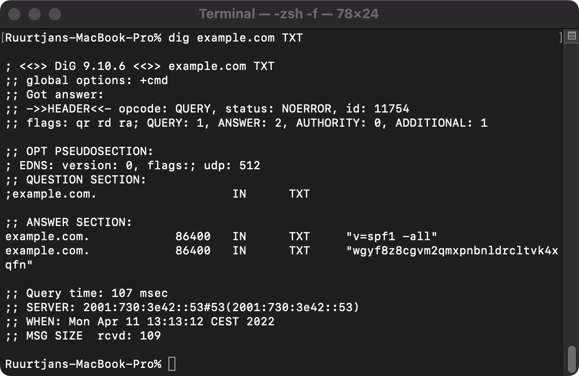 Example output of a TXT lookup query
